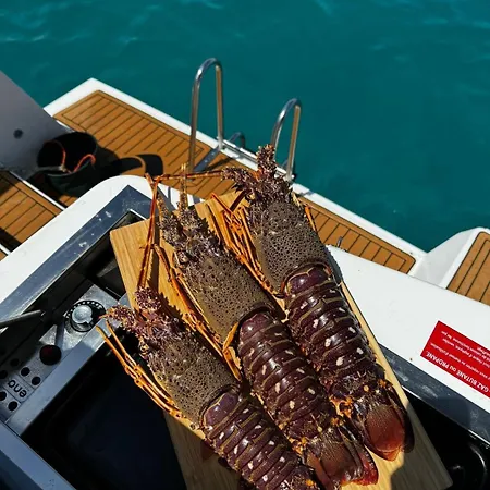 Bateau-hôtel Fox Bali Palma